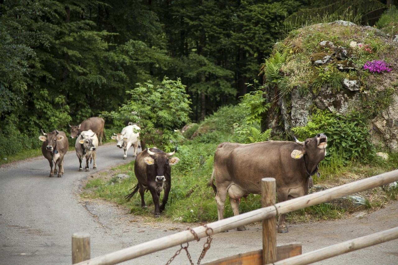Agriturismo Alagna エクステリア 写真
