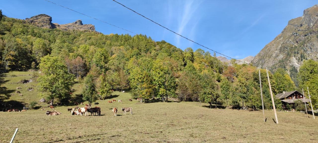 Agriturismo Alagna エクステリア 写真
